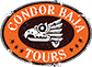 Condor Baja Tours
